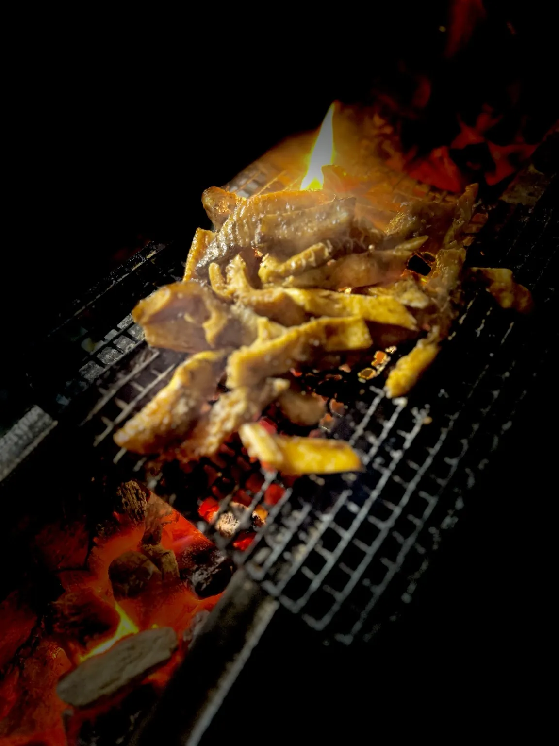 Marinated meat over hot coals